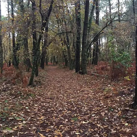 La Maison Des Hippocampes 4*