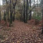 La Maison Des Hippocampes 3*