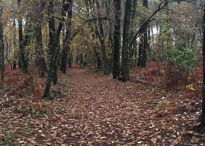 La Maison Des Hippocampes 4*